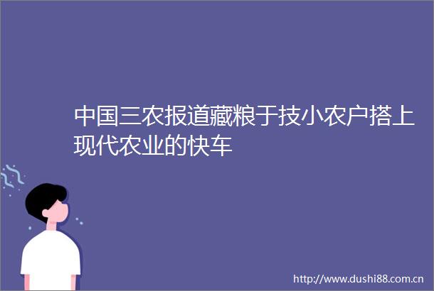 三农报道藏粮于技小农户搭上现代农业的快车