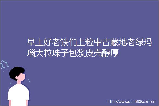 早上好老铁们上粒中古藏地老绿玛瑙大粒珠子包浆皮壳醇厚