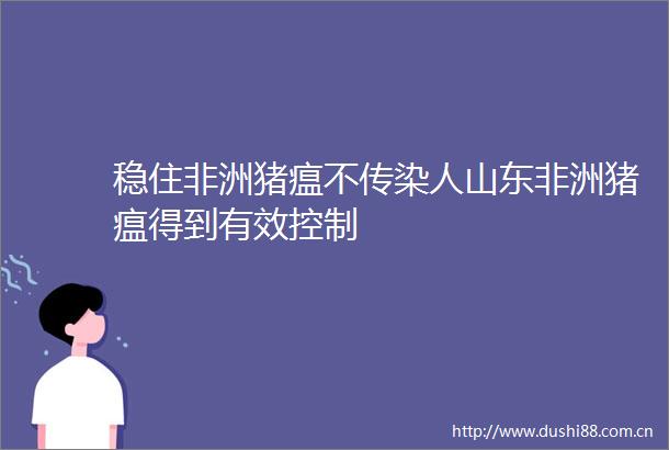 稳住非洲猪瘟不传染人山东非洲猪瘟得到有效控制