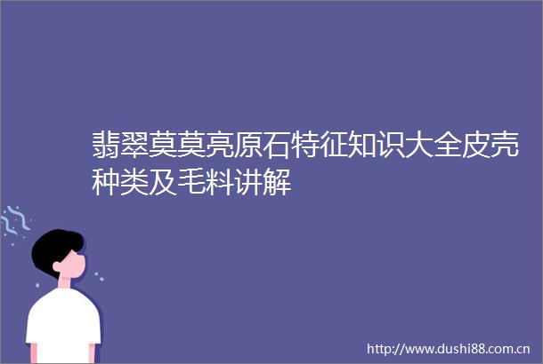 翡翠莫莫亮原石特征知识大全皮壳种类及毛料讲解