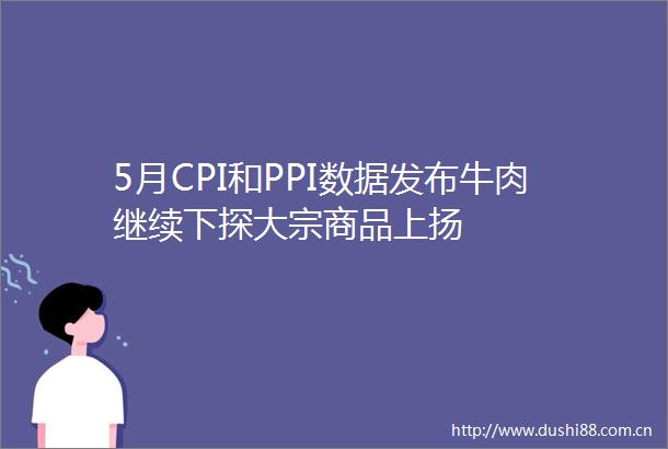 5月CPI和PPI数据发布牛肉继续下探大宗商品上扬