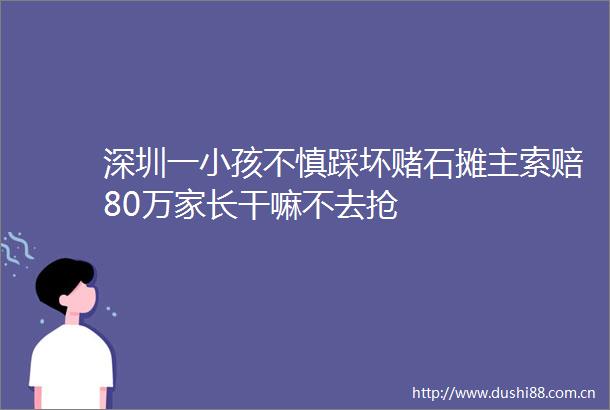 深圳一小孩不慎踩坏赌石摊主索赔80万家长干嘛不去抢