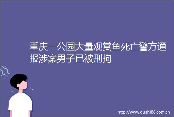 重庆一公园大量观赏鱼死亡警方通报涉案男子已被刑拘