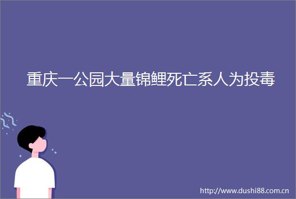 重庆一公园大量锦鲤死亡系人为投毒