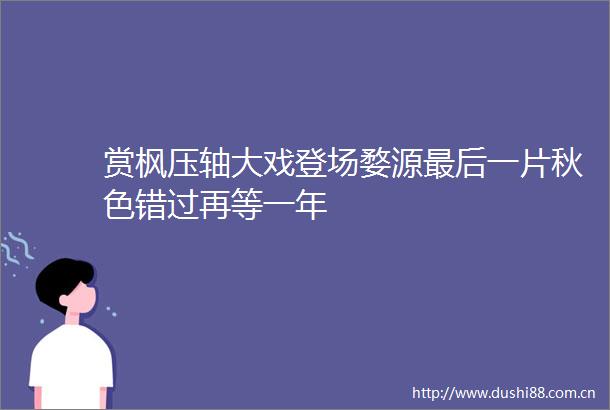 赏枫压轴大戏登场婺源最后一片秋色错过再等一年