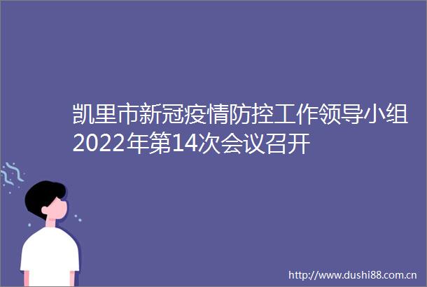 凯里市新冠疫情防控工作小组2022年第14次会议召开