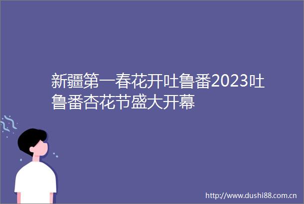 新疆第一春花开吐鲁番2023吐鲁番杏花节盛大开幕