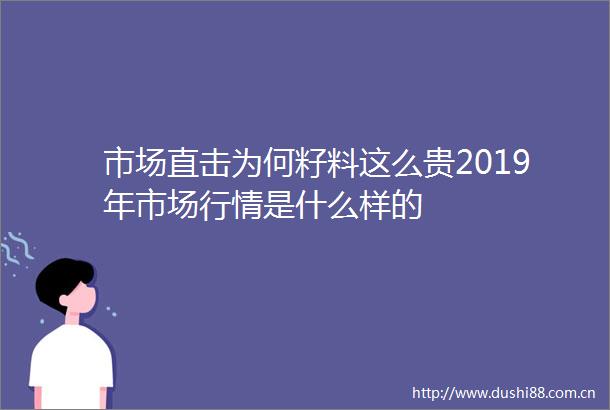 市场直击为何籽料这么贵2019年市场行情是什么样的