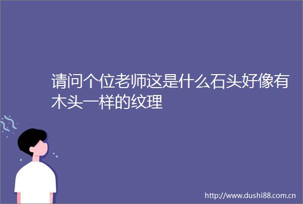 请问个位老师这是什么石头好像有木头一样的纹理