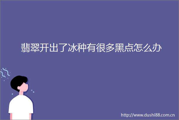 翡翠开出了冰种有很多黑点怎么办