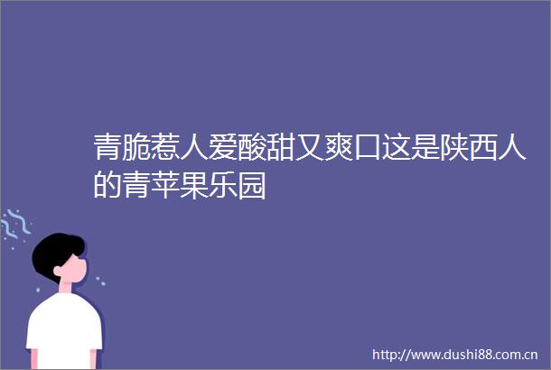 青脆惹人爱酸甜又爽口这是陕西人的青苹果乐园