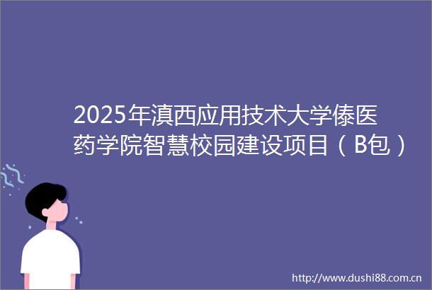 2025年滇西应用技术大学傣医药学院智慧校园建设项目（B包）的公开招标公告