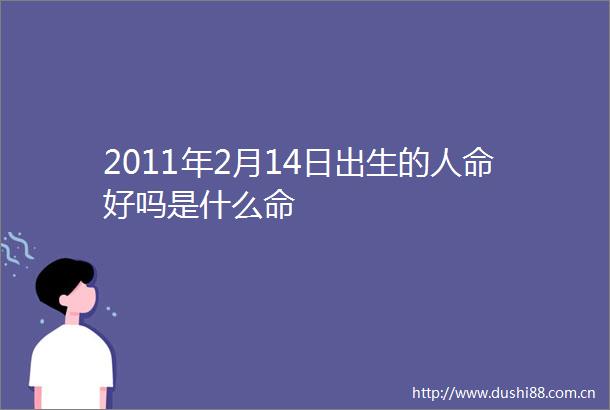 2011年2月14日出生的好吗是什么命