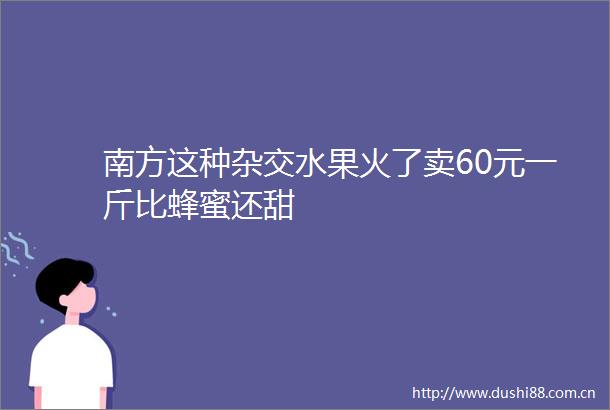南方这种杂交水果火了卖60元一斤比蜂蜜还甜