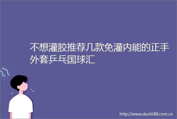 不想灌胶推荐几款免灌内能的正手外套乒乓国球汇