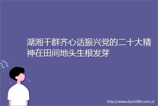 湖湘干群齐心话振兴党的二十大精神在田间地头生根发芽