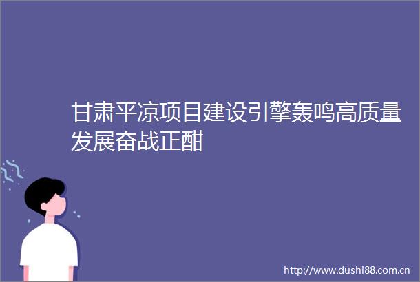 甘肃平凉项目建设引擎轰鸣高质量发展奋战正酣