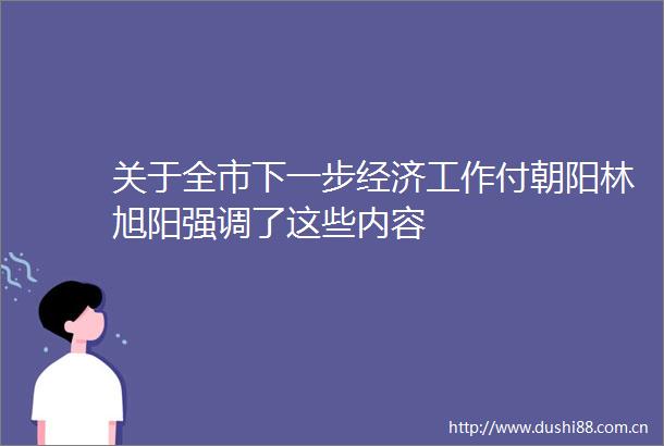 关于全市下一步经济工作付朝阳林旭阳强调了这些内容