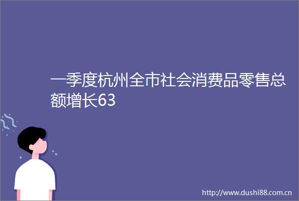 一季度杭州全市社会消费品零售总额增长63
