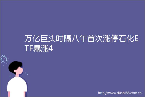 万亿巨头时隔八年首次涨停石化ETF暴涨4