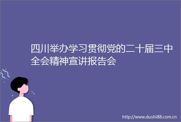 四川举办学习贯彻党的二十届三中全会精神宣讲报告会