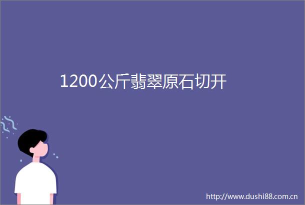 1200公斤翡翠原石切开