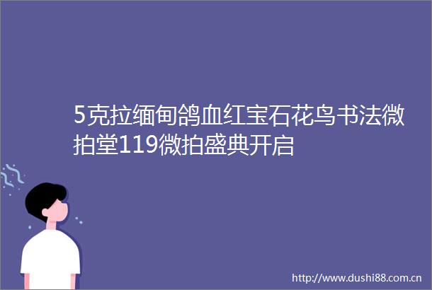 5克拉缅甸鸽血红宝石花鸟书法微拍堂119微拍盛典开启