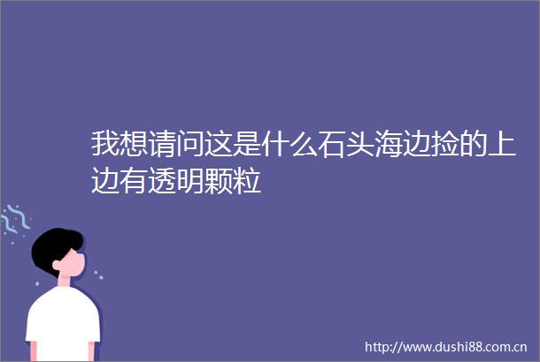 我想请问这是什么石头海边捡的上边有透明颗粒