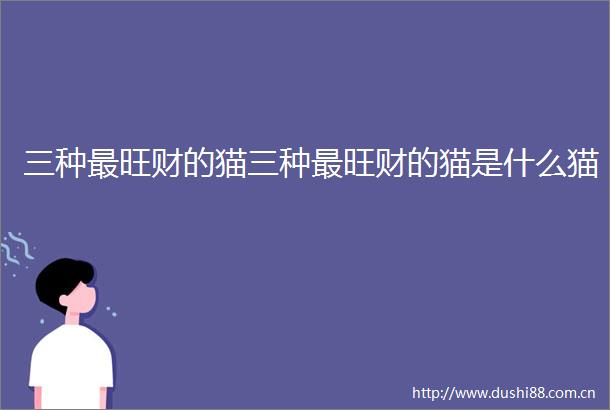 三种最旺财的猫三种最旺财的猫是什么猫