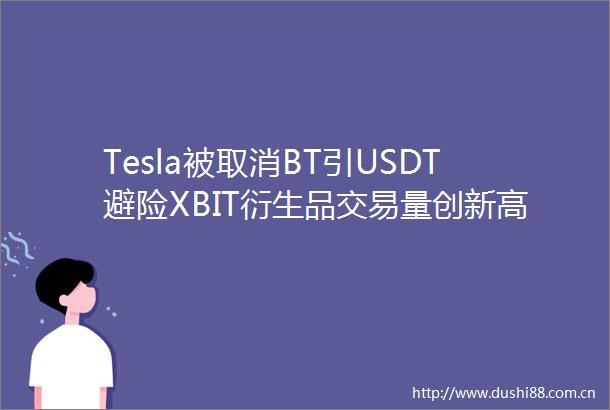 Tesla被取消BT引USDT避险XBIT衍生品交易量创新高