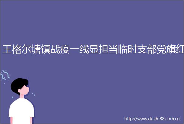 王格尔塘镇战疫一线显担当临时支部党旗红