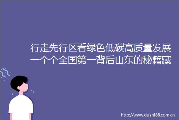 行走先行区看绿色低碳高质量发展一个个全国第一背后山东的秘籍藏在细节里