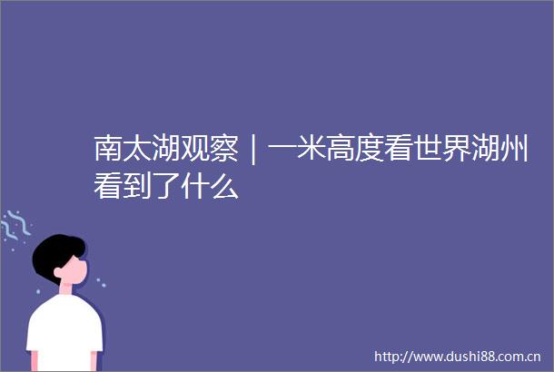 南太湖观察｜一米高度看世界湖州看到了什么