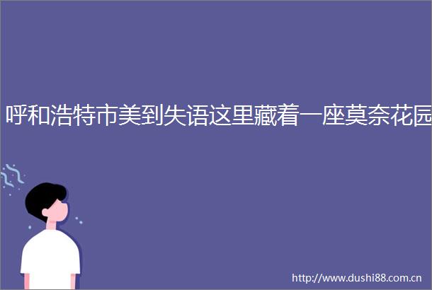 呼和浩特市美到失语这里藏着一座莫奈花园