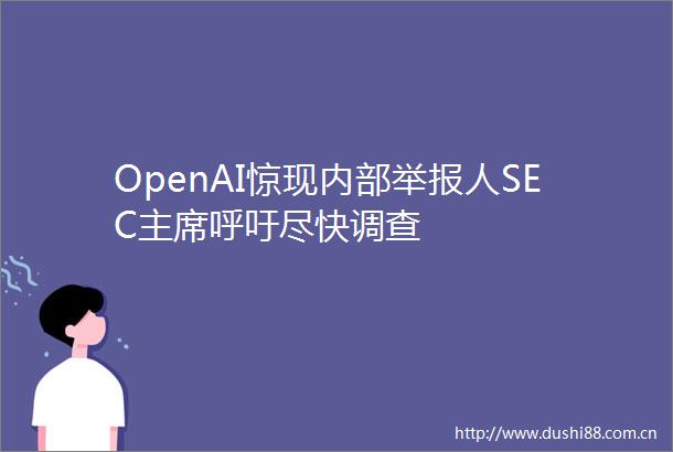 OpenAI惊现内部人SEC呼吁尽快调查
