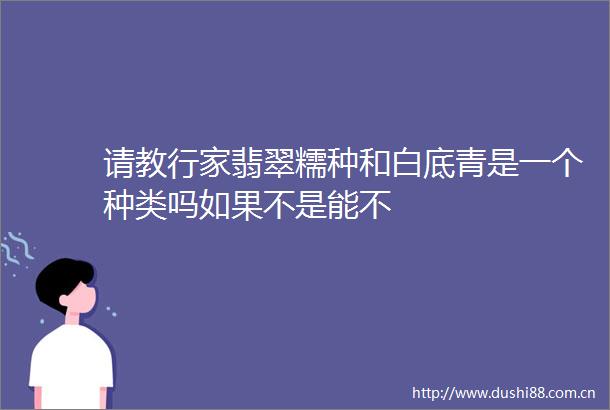 请教行家翡翠糯种和白底青是一个种类吗如果不是能不
