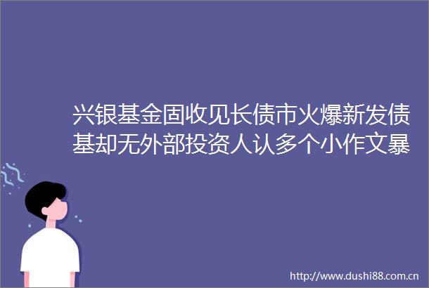兴银基金固收见长债市火爆新发债基却无外部投资人认多个小作文管理问题