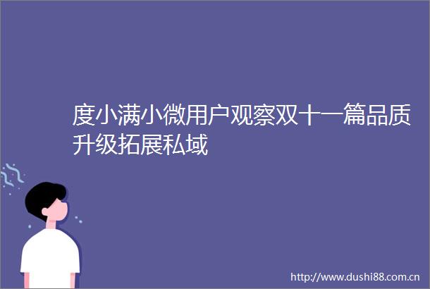 度小满小微用户观察双十一篇品质升级拓展私域