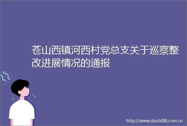 苍山西镇河西村党总支关于巡察整改进展情况的通报