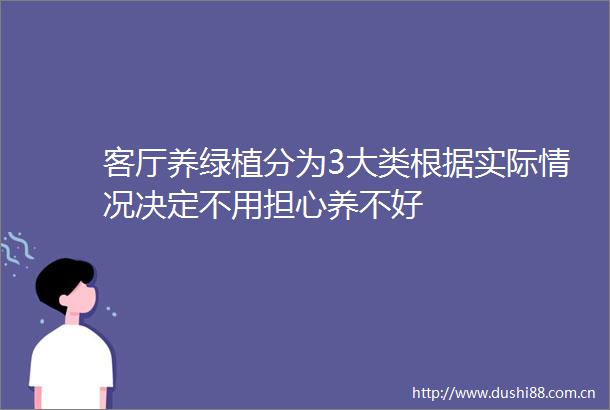 客厅养绿植分为3大类根据实际情况决定不用担心养不好