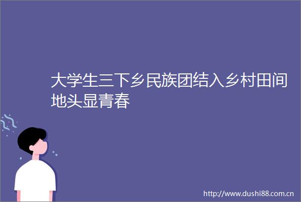 大学生三下乡民族团结入乡村田间地头显青春