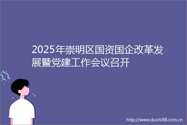 2025年崇明区国资国企改革发展暨党建工作会议召开