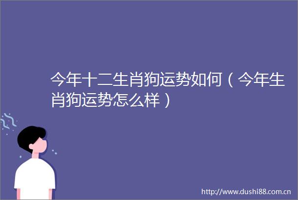 今年十二生肖狗运势如何（今年生肖狗运势怎么样）