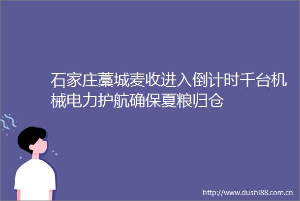 石家庄藁城麦收进入倒计时千台机械电力护航确保夏粮归仓