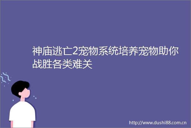 神庙逃亡2宠物系统培养宠物助你战胜各类难关