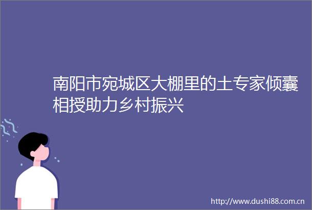 南阳市宛城区大棚里的土专家倾囊相授助力乡村振兴