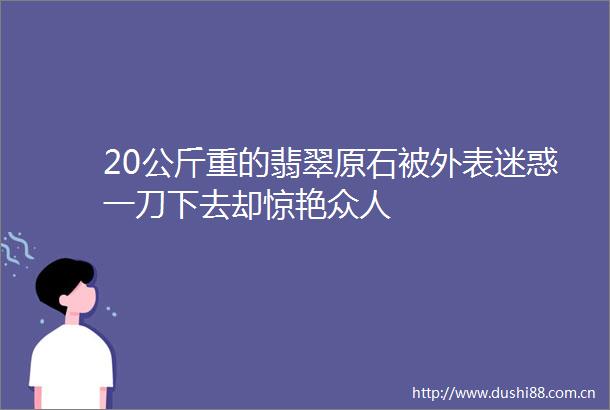 20公斤重的翡翠原石被外表迷惑一刀下去却惊艳众人