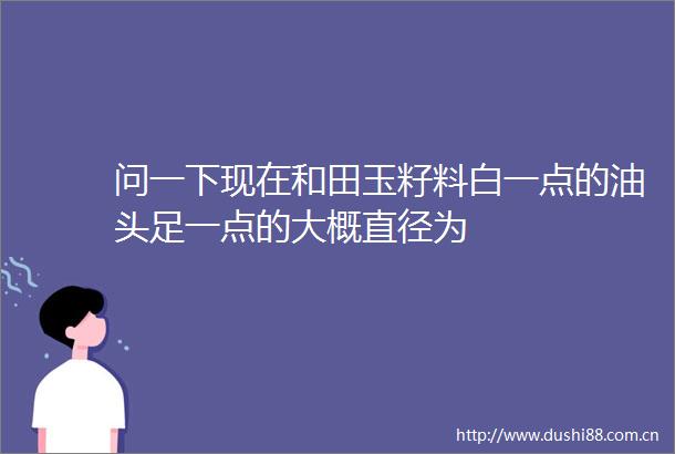 问一下现在和田玉籽料白一点的油头足一点的大概直径为