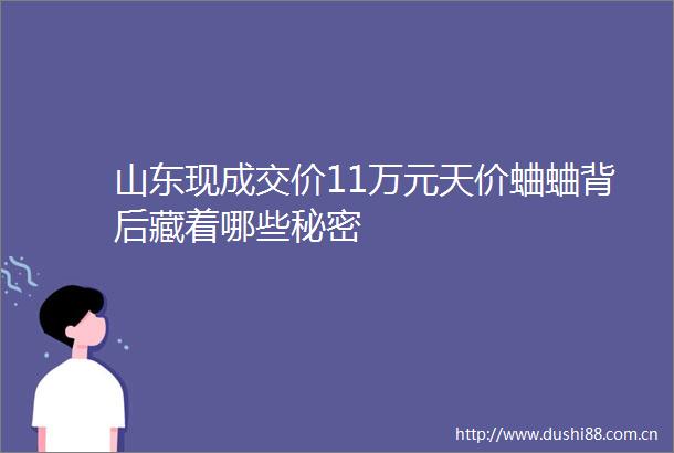 山东现成交价11万元天价蛐蛐背后藏着哪些秘密