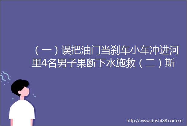 （一）误把油门当刹车小车冲进河里4名男子果断下水施救（二）斯诺登获俄罗斯国籍